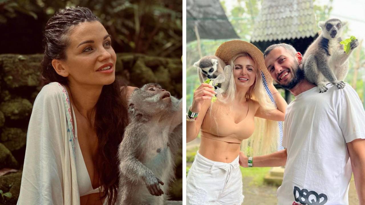 звезди животни