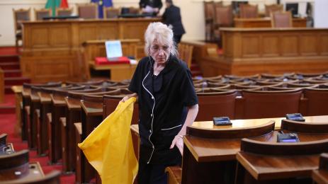 парламент чистачи чистачка