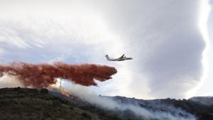 Все по високите температури в Европа подклаждат горските пожари а здравните
