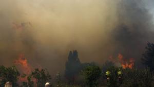 Стотици пожарникари във Франция се борят с първия голям горски