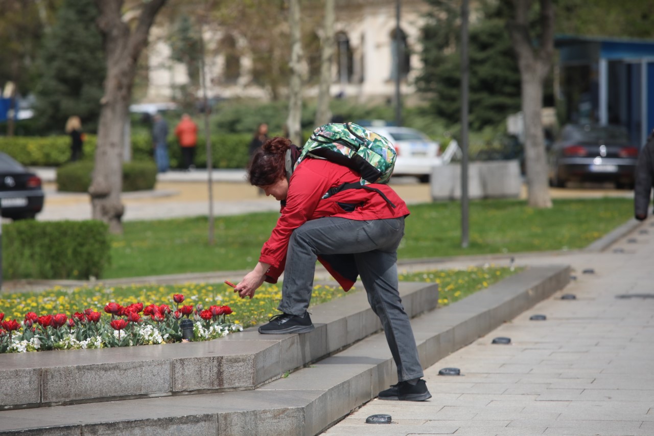 <p>Дъхави пролетни цветя красят градинките на София</p>