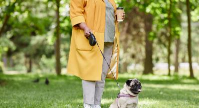 куче разходка