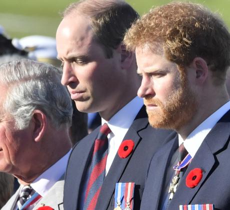 Изглежда че ледовете между принц Хари и крал Чарлз се