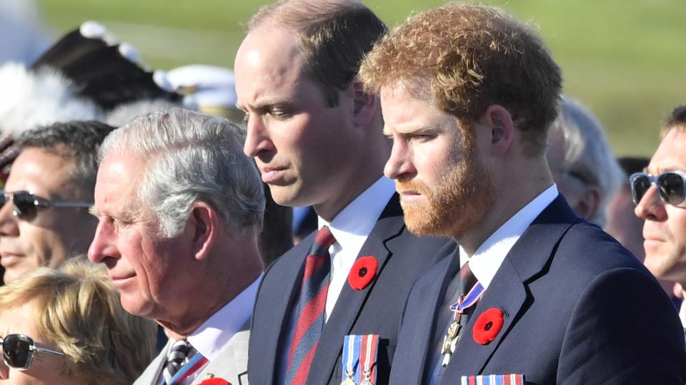 Изглежда, че ледовете между принц Хари и крал Чарлз се