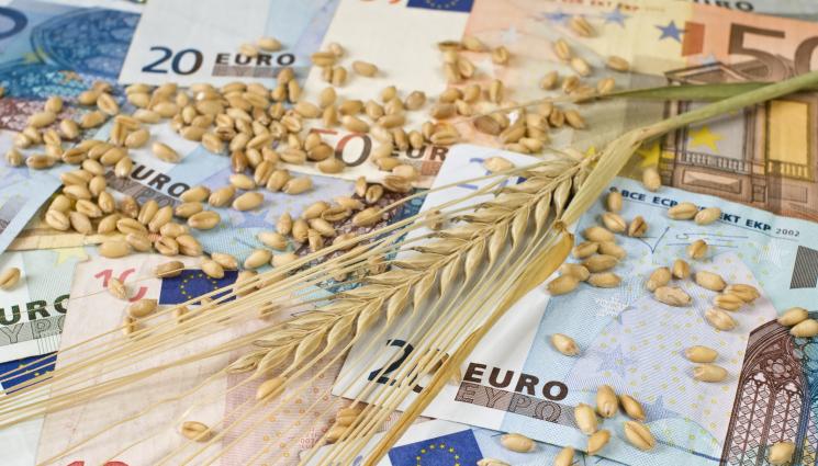 ес зърно - ПРЕВАНТИВНИ МЕРКИ ЗАРАДИ УКРАИНСКОТО ЗЪРНО: ЕС подготвя компенсации за фермери в пет държави, сред които и България