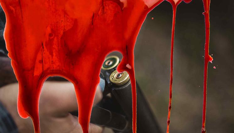 пушка - НОВА ПОРЦИЯ КУРШУМИ В СЪРБИЯ: Момче гръмна с въздушна пушка в гърдите свой приятел