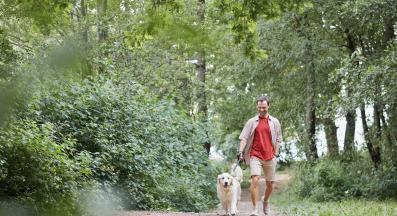 куче природа