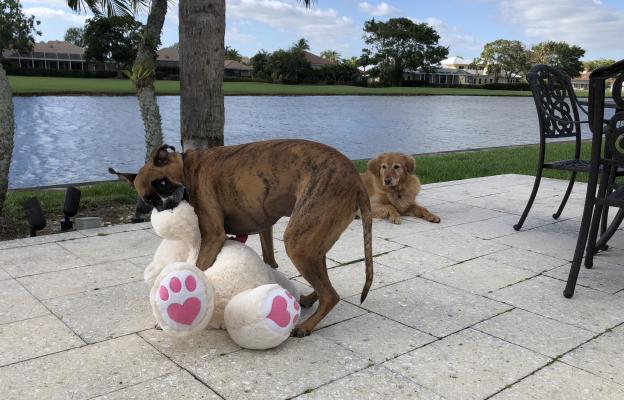 куче качване