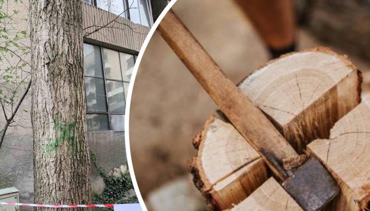 сеч - Сечта в двора само с разрешение