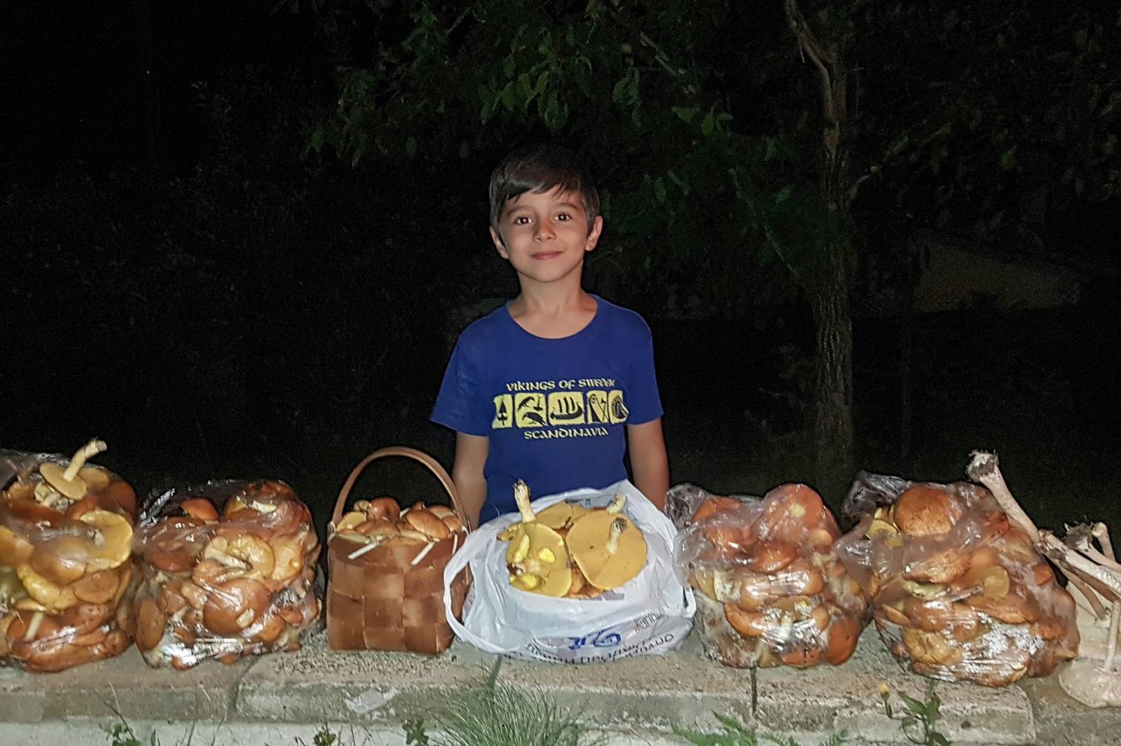 Иво Киров МЕНСА