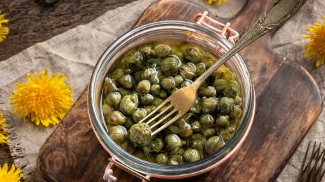 каперси глухарче