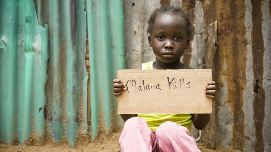 <p>Стряскаща статистика на СЗО: Над 600 000 души са починали от малария за година</p>