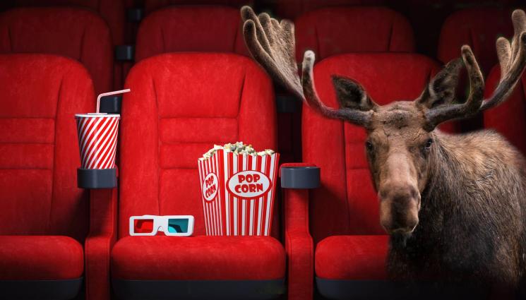 лос кино - БЕЗ БИЛЕТ: Лос отиде на кино и изяде пуканките (ВИДЕО)