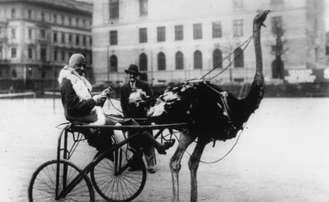  Жозефин Бейкър 