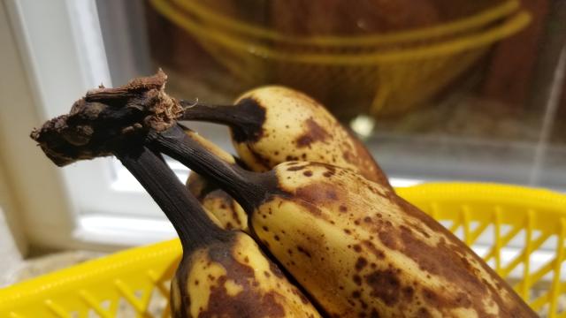 Зеленчуци, хляб, плодове: Защо не трябва да ги изхвърляме 