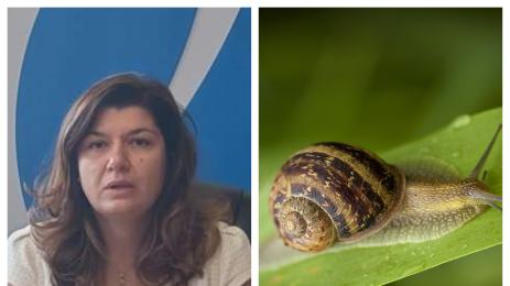 Владя Борисова