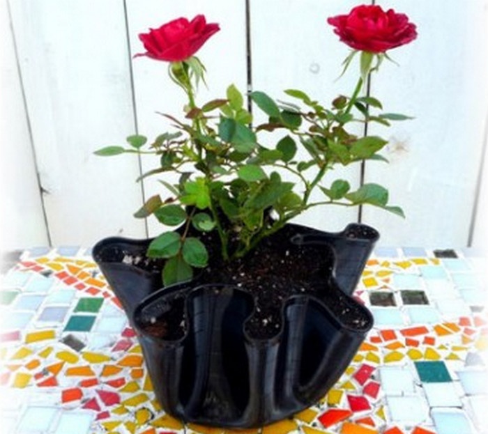 грамофонна плоча