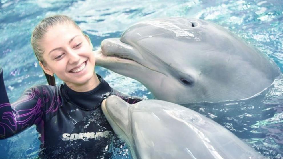 Делфинариум Варна“ връща плуването с делфини от 1 май, която