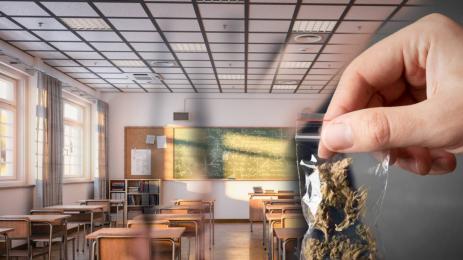 трева училище