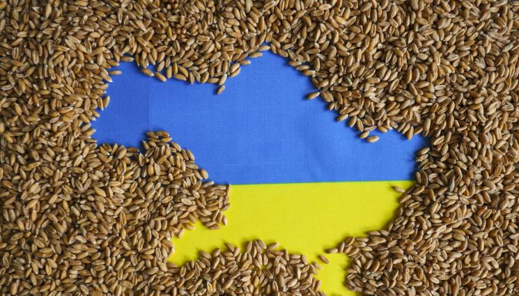 зърно Украйна - СЛЕД ВРЕМЕННИТЕ ЗАБРАНИ: България и още четири държави се споразумяха с ЕК за украинския износ