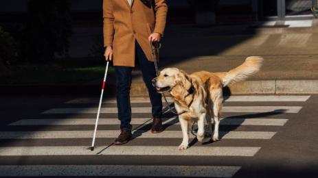 хора с увреждания