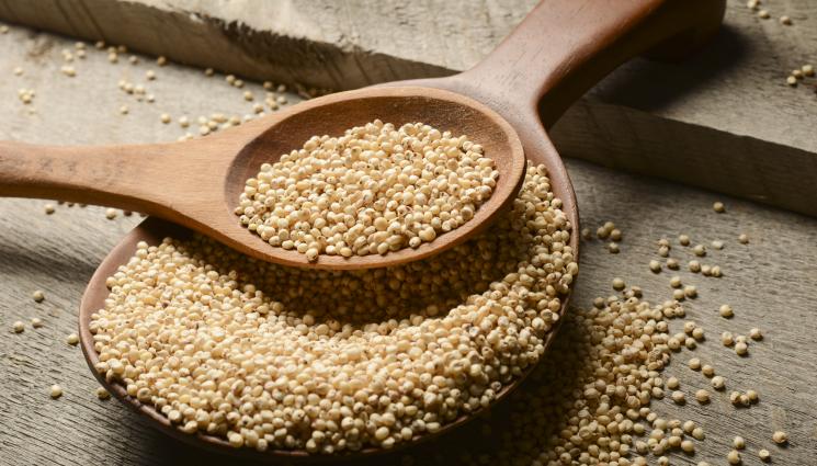 сорго - Агро Телеграф: Соргото може да измести царевицата