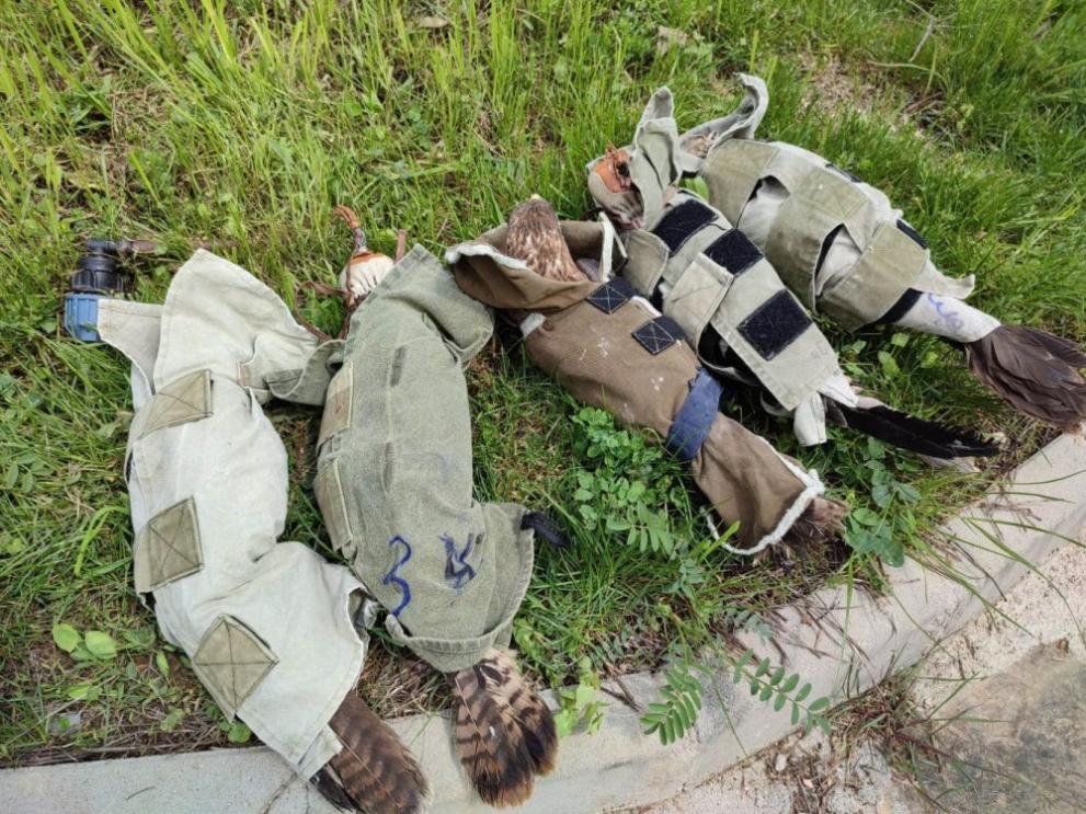  зоопарк остаряла загора 