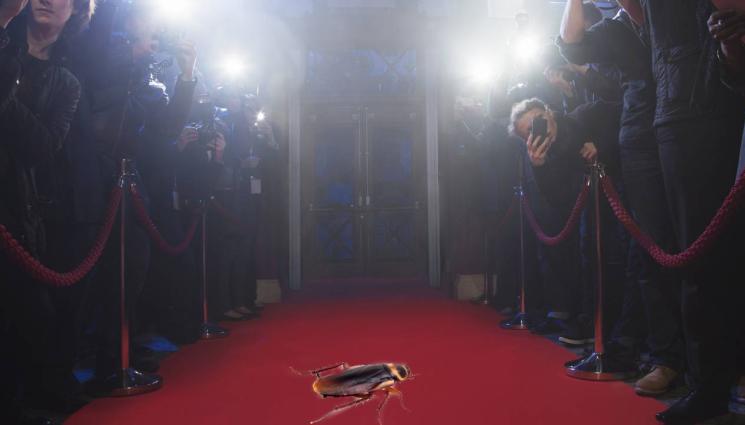 хлебарка - ХИТЪТ НА ВЕЧЕРТА: Хлебарка се оказа звездата на Мет гала (ВИДЕО)