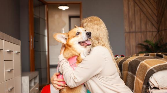 10 най-добри породи кучета за емоционална подкрепа