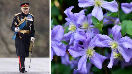 златно време