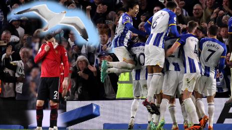 Брайтън Манчестър Юнайтед