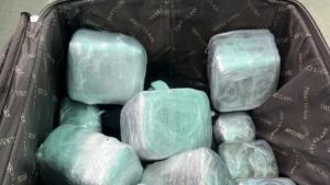 Задържани са 10 кг канабис намерени в багажа на български