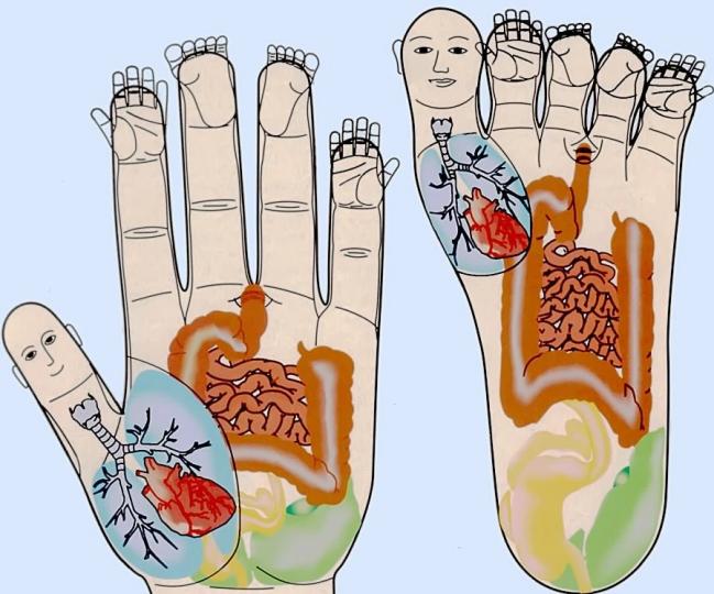  Корейският метод лекува през биоактивни точки на ръцете и краката.