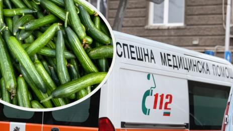 бой краставици