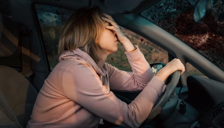 шофьор - Шофьорка се натресе в цветарски магазин (ВИДЕО)