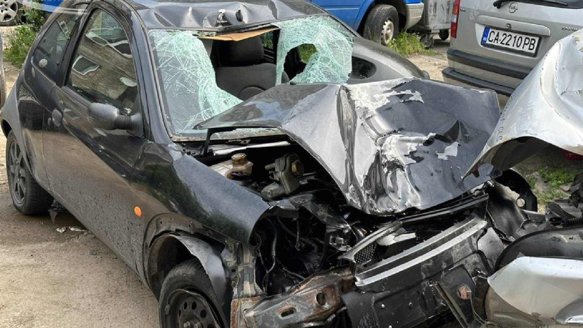 кола сливница