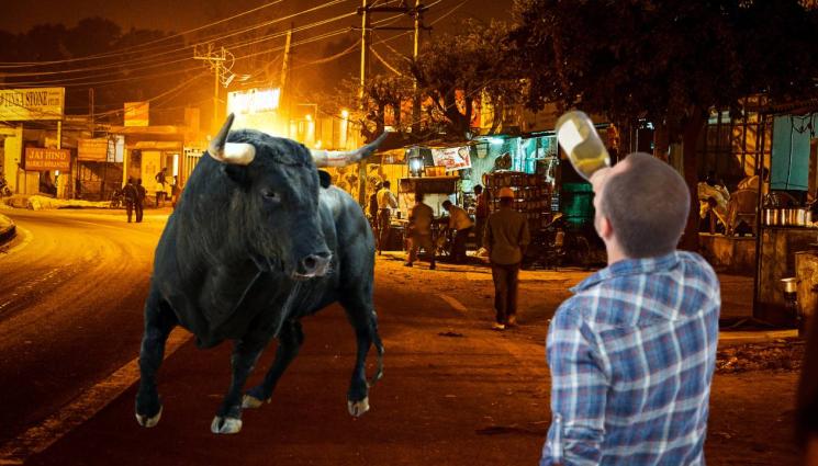 бик - Къркан индиец се взе за каубой, пришпори бик по улиците (ВИДЕО)