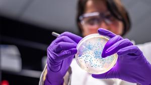 Учени са открили в Алпите и Арктика микроби които могат