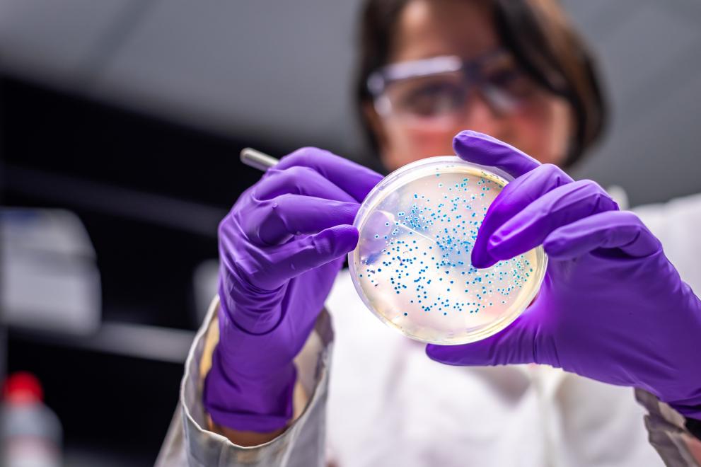 Учени са открили в Алпите и Арктика микроби, които могат