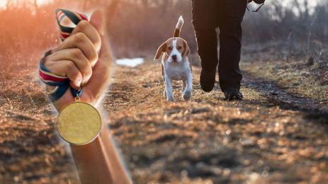 куче спасител