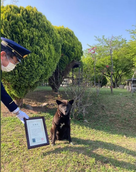 куче спасител