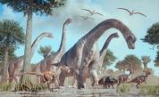 Дали динозаврите са „виждали“ през очите си? Ново изследване дава представа