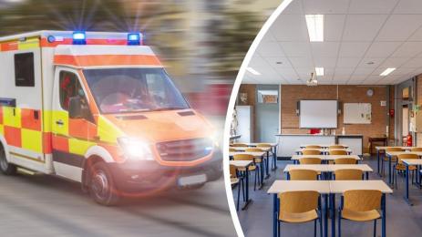 линейка германия