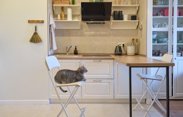 котка в кухнята