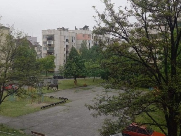 коне детска площадка