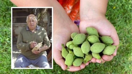 Никола Атанасов билкар