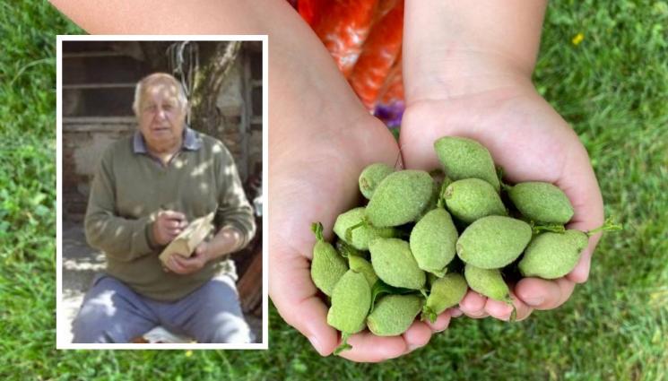 Никола Атанасов билкар - ЗЛАТНО ВРЕМЕ: Бай Кольо церил Фидел Кастро