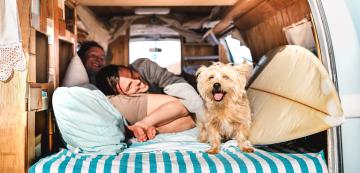 10 съвета за по-комфортно и спокойно пътуване с кучето ви