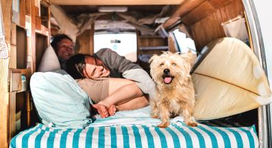 куче пътуване кола