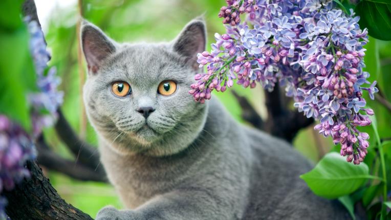  Дневен хороскоп за събота, 27 май 